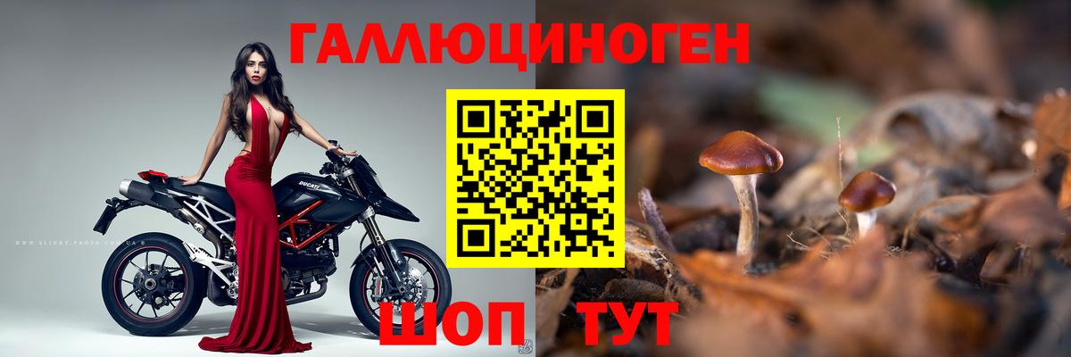 Галлюциногенные грибы Cubensis  Вход с VPN  Нарткала  Галлюциногенные грибы Cubensis 